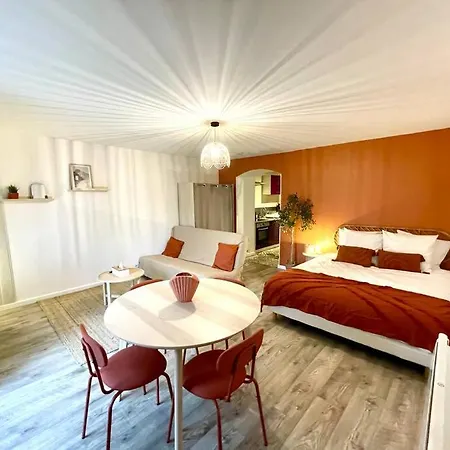 Grand Studio Chez Soi - Queen Size Bed - Terrasse Oyonnax Exterior photo